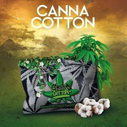 Canna Cotton (10g Hampa Bomull)
